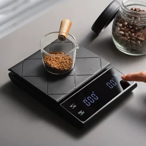 Digital Scale